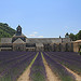 Abbaye de Sénanque et son champs de lavande par Jen.Cz - Gordes 84220 Vaucluse Provence France