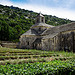 Abbaye Notre-Dame de Sénanque par Viggo001 - Gordes 84220 Vaucluse Provence France