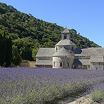 Contrastes de couleurs à l'Abbaye de Sénanque par Massimo Battesini - Gordes 84220 Vaucluse Provence France