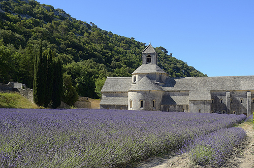 Contrastes de couleurs à l'Abbaye de Sénanque by Massimo Battesini