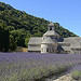 Contrastes de couleurs à l'Abbaye de Sénanque par Massimo Battesini - Gordes 84220 Vaucluse Provence France