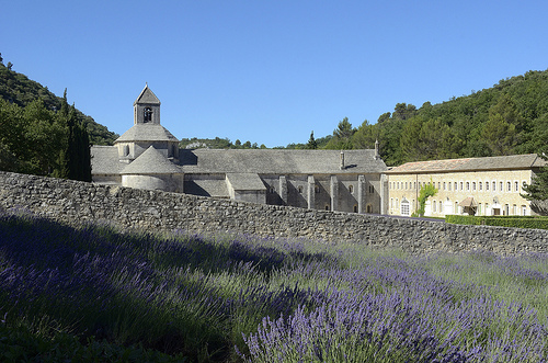 Abbaye de Sénanque au fond de son valon by Massimo Battesini