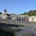 Abbaye de Sénanque au fond de son valon by Massimo Battesini - Gordes 84220 Vaucluse Provence France