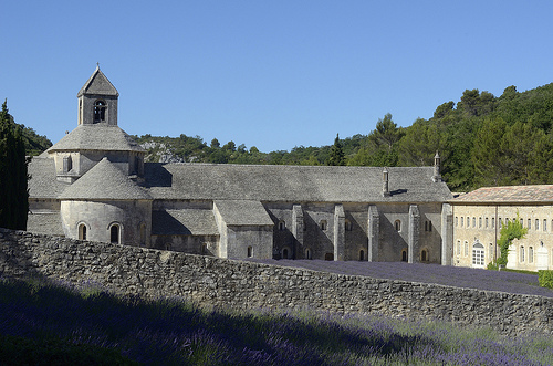 Provence - Lavande à l'Abbaye de Sénanque by Massimo Battesini