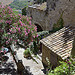 Laurier rose à Gordes by Massimo Battesini - Gordes 84220 Vaucluse Provence France