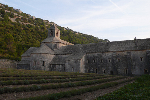 Au pied de l'Abbaye de Senanque by lepustimidus