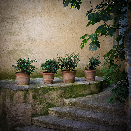 Les pots de terre à Gordes by Ann McLeod Images