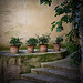 Les pots de terre à Gordes by Ann McLeod Images - Gordes 84220 Vaucluse Provence France