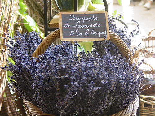 Bouquets de Lavande séchée by pietroizzo