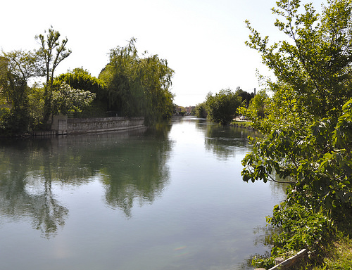 La Sorgue - L'Isle-sur-la-Sorgue par milka rabasa