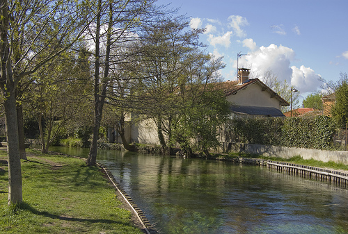 berges de la Sorgue : Isle sur la Sorgue by elyco87