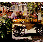 L'Isle-sur-la-Sorgue - Couleurs de Provence by YourDarlinClementine - L'Isle sur la Sorgue 84800 Vaucluse Provence France