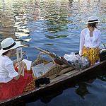 Marché flottant de l'Isle sur la Sorgue par Massimo Battesini - L'Isle sur la Sorgue 84800 Vaucluse Provence France