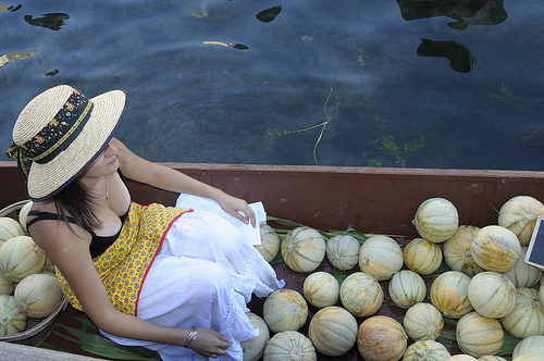 Melons de Provence sur le marché flottant de l'Isle sur la Sorgue by Massimo Battesini