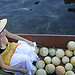 Melons de Provence sur le marché flottant de l'Isle sur la Sorgue par Massimo Battesini - L'Isle sur la Sorgue 84800 Vaucluse Provence France