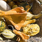 Courge market by Massimo Battesini - L'Isle sur la Sorgue 84800 Vaucluse Provence France