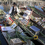 Barques du Marché Flottant de l'Isle sur la Sorgue par Massimo Battesini - L'Isle sur la Sorgue 84800 Vaucluse Provence France