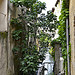 Canal de  l'isle sur la sorgue by Jean NICOLET - L'Isle sur la Sorgue 84800 Vaucluse Provence France