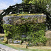 Roue à Aube by Jean NICOLET - L'Isle sur la Sorgue 84800 Vaucluse Provence France