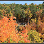 Forêt d'automne en Provence by Photo-Provence-Passion -   Vaucluse Provence France