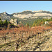 Vignoble sur les Dentelles de Montmirail by Photo-Provence-Passion - La Roque Alric 84190 Vaucluse Provence France