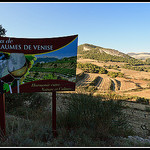 Les crus de Beaumes de Venise by Photo-Provence-Passion - La Roque Alric 84190 Vaucluse Provence France