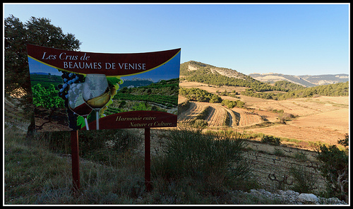 Les crus de Beaumes de Venise par Photo-Provence-Passion