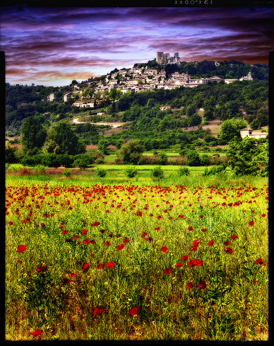 champs de coquelicots devant Lacoste by Patrick Bombaert