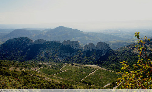 Dentelles Montmirail vue depuis les Dentelles Sarrasines by sabinelacombe