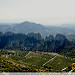 Dentelles Montmirail vue depuis les Dentelles Sarrasines par sabinelacombe - Lafare 84190 Vaucluse Provence France