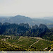 Dentelles Montmirail vue depuis les Dentelles Sarrasines by sabinelacombe - Lafare 84190 Vaucluse Provence France