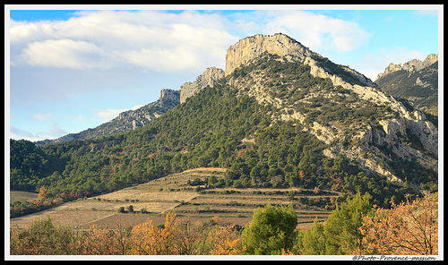 Paysage - Dentelles de Montmirail by Photo-Provence-Passion