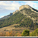 Paysage - Dentelles de Montmirail par Photo-Provence-Passion - Lafare 84190 Vaucluse Provence France
