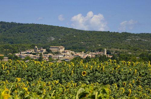 Le village de Lagnes parmi les tournesols by christian.man12