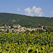 Le village de Lagnes parmi les tournesols by christian.man12 - Lagnes 84800 Vaucluse Provence France