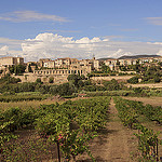 Arrivée à Lauris par Lio_stin - Lauris 84360 Vaucluse Provence France