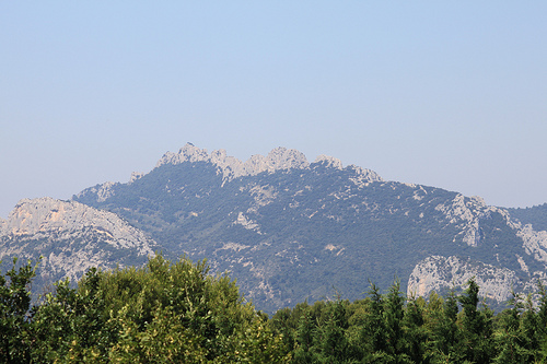 les Dentelles de Montmirail by gab113