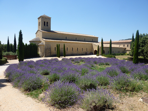 Abbaye Sainte-Madeleine du Barroux by gab113
