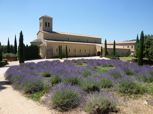 Abbaye Sainte-Madeleine du Barroux par gab113