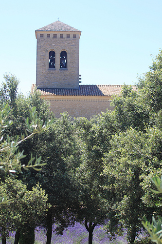 Abbaye Sainte-Madeleine du Barroux by gab113