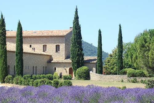 Abbaye Sainte-Madeleine du Barroux by gab113