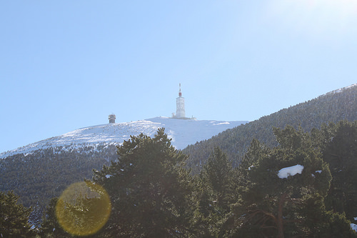 Le sommet du Mont-Ventoux vu du Mont Serein by gab113