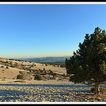 Champs de pierres du Mont-Ventoux by Photo-Provence-Passion -   Vaucluse Provence France