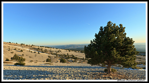 Champs de pierres du Mont-Ventoux by Photo-Provence-Passion