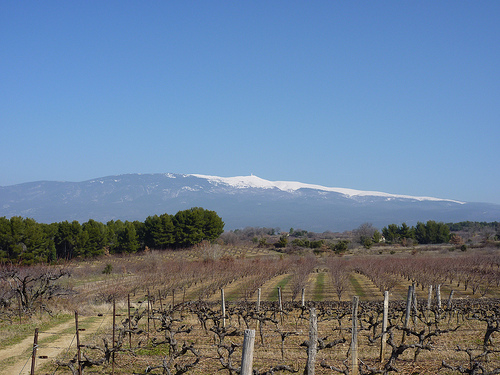 Mont-Ventoux : le géant de Provence by gab113