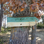 Chemin de randonnée par gab113 -   Vaucluse Provence France