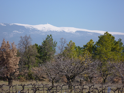 Mont-ventoux enneigé par gab113