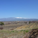 Mont-Ventoux et champs de vigne en hiver par gab113 -   Vaucluse Provence France