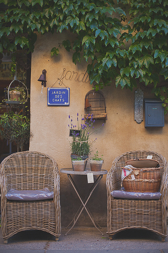 Jardin des chats par Dri.Castro