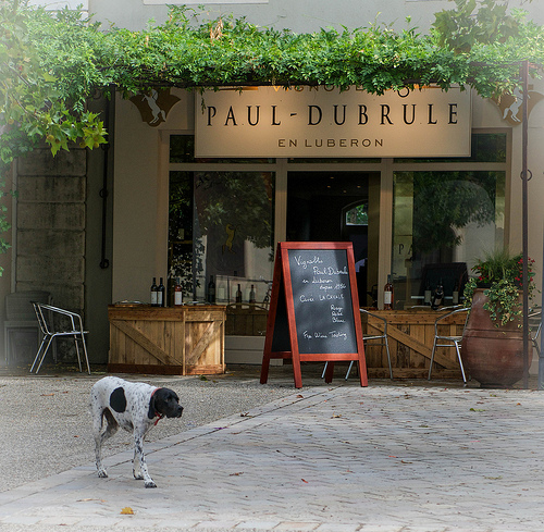 Vignoble Paul Dubrule by Ann McLeod Images